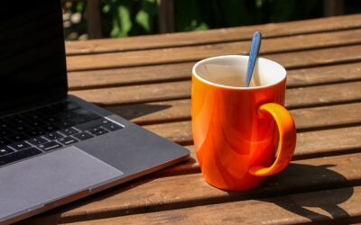 Gartenbüro planen: So entsteht Ihr perfekter Arbeitsplatz im Garten